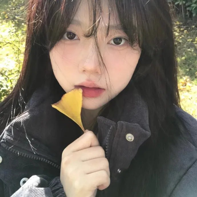 王朝消亡 封面