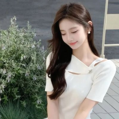 最狂野的梦想:征服珠峰 封面